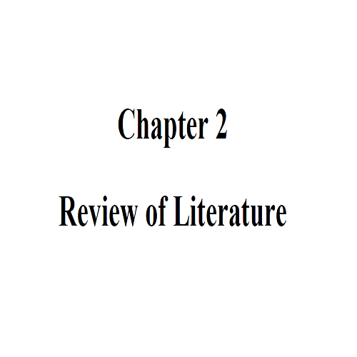 02ReviewofLiterature